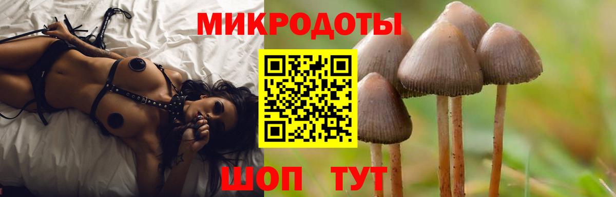 Сызрань  Псилоцибиновые грибы мицелий  Вход с VPN  Галлюциногенные грибы ЛСД 